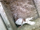 Photo0201