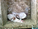 Photo0203