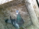 Photo0205
