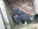 Photo0207