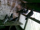 Photo0209