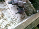 Photo0211
