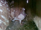 Photo0216