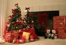 images (25)