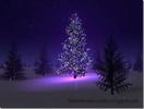 images (55)