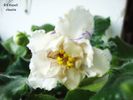 DSC01555