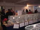 expo fcpr 2010