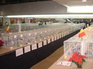 expo fcpr 2010