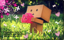 DANBO