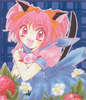 cover3