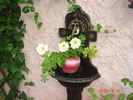 DSC09163