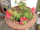 DSC09187