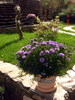DSC09204