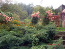 DSC09207