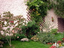 DSC09210
