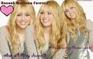 HannahMontanaforeverbg