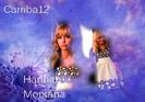 hannsh