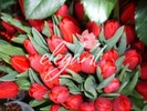 507_45acd2d494b2a
