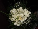 DSCF0950