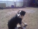 Molda