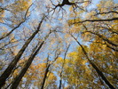 DSCN2905