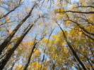 DSCN2906