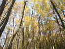 DSCN2907