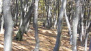 DSCN2926