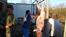 DSCN3424
