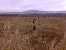 25298730_QVOFYCKOA