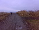 25298762_IVGWOJYRO
