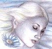 floare-albastra-portret