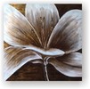 flo_8_4040_floare_alba