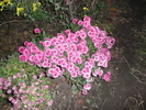 P1060625