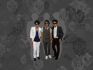 image-the-jonas-brothers-2562891-1024-768