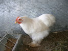 SANY0072