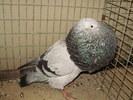 08665b