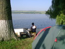 in asteptare