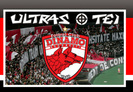 ultras-tei-dinamo-bucuresti-5