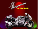 BUSA6_3