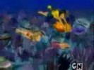 23282730_XXNRSPDTQ