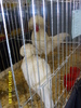 MOTATA OLANDEZA ALBA