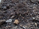 DSC03272