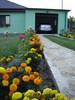 DSC03881