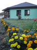 DSC03882