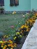 DSC03883