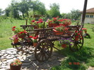 DSC05922