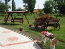 DSC05925