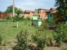 DSC05932