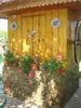 DSC05936
